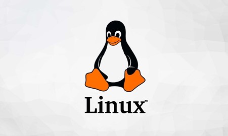 Linux Logo